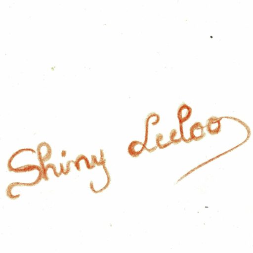 Shiny Leeloo, illustrations joyeuses et inspirantes