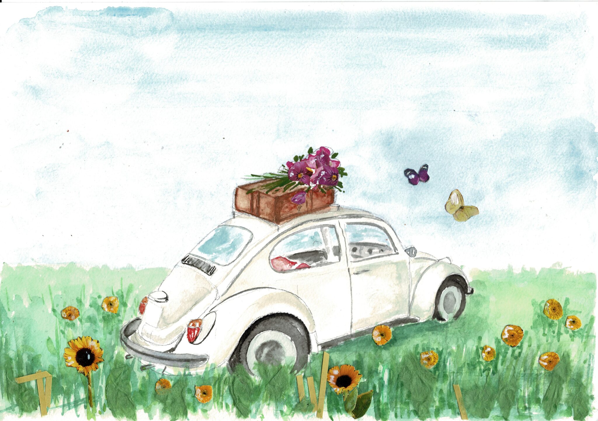 Coccinelle dans l'herbe